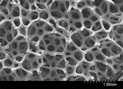 Graphene foam