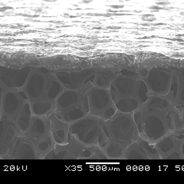 carbon foam